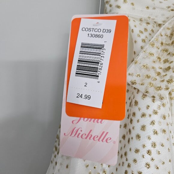 NWT Fancy Cream & Gold Toddler Dress - Size 2T - Picture 5 of 8